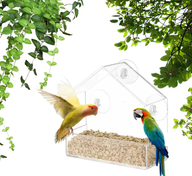 Smart Bird Feeder