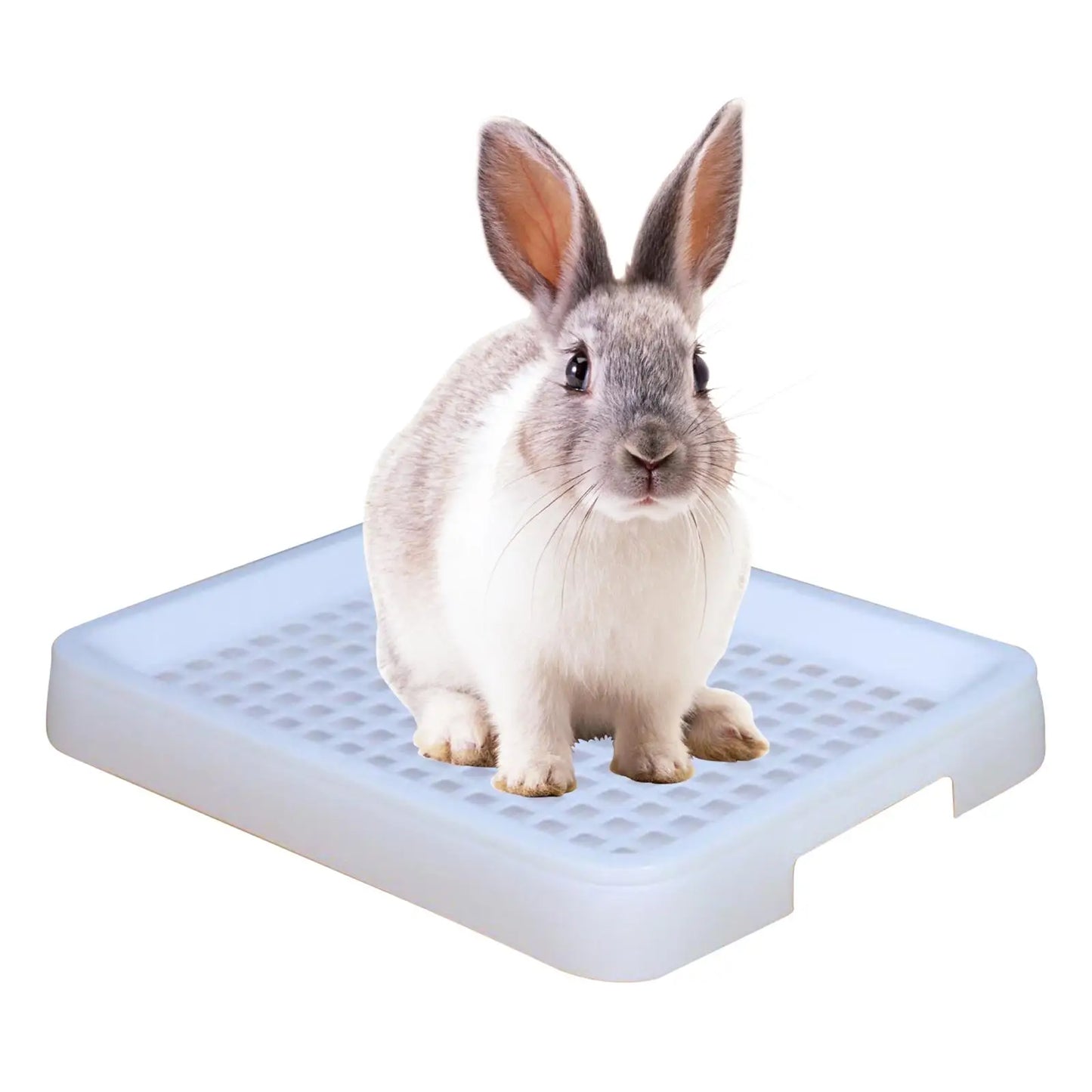 Litter Box Training Pan Cage with Toilet Tray for Birds Pet Supplies