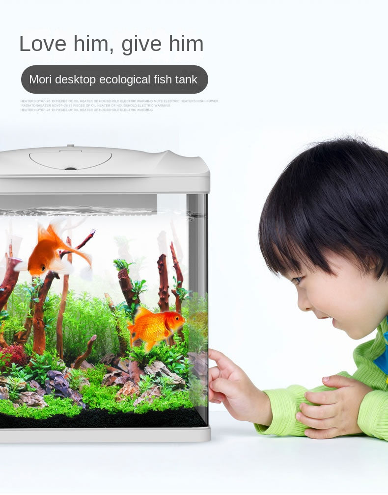 Fish Tank Aquarium Ecological Desktop Creative Goldfish Tank Glass Mini Small Living Room Water-free Home Tank Aquarium Tank