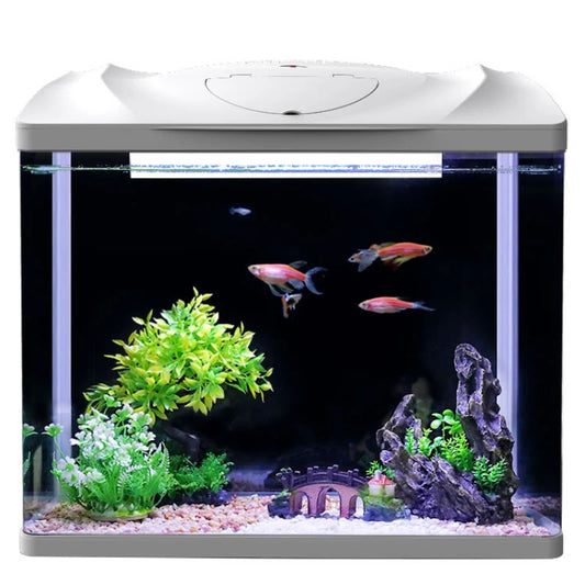 Fish Tank Aquarium Ecological Desktop Creative Goldfish Tank Glass Mini Small Living Room Water-free Home Tank Aquarium Tank