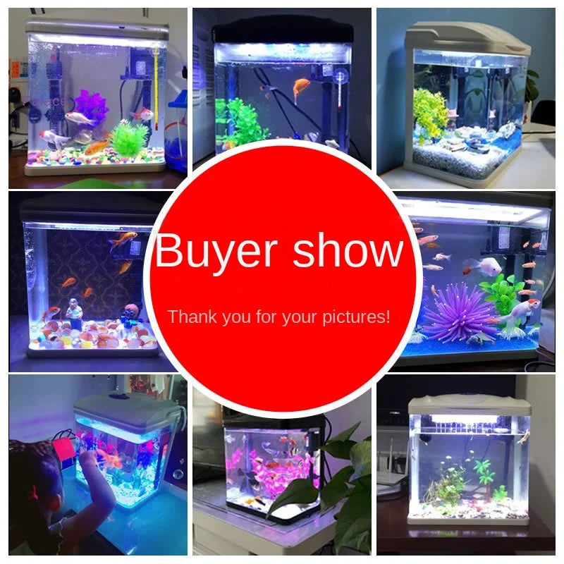 Fish Tank Aquarium Ecological Desktop Creative Goldfish Tank Glass Mini Small Living Room Water-free Home Tank Aquarium Tank